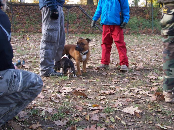 101_3693.jpg