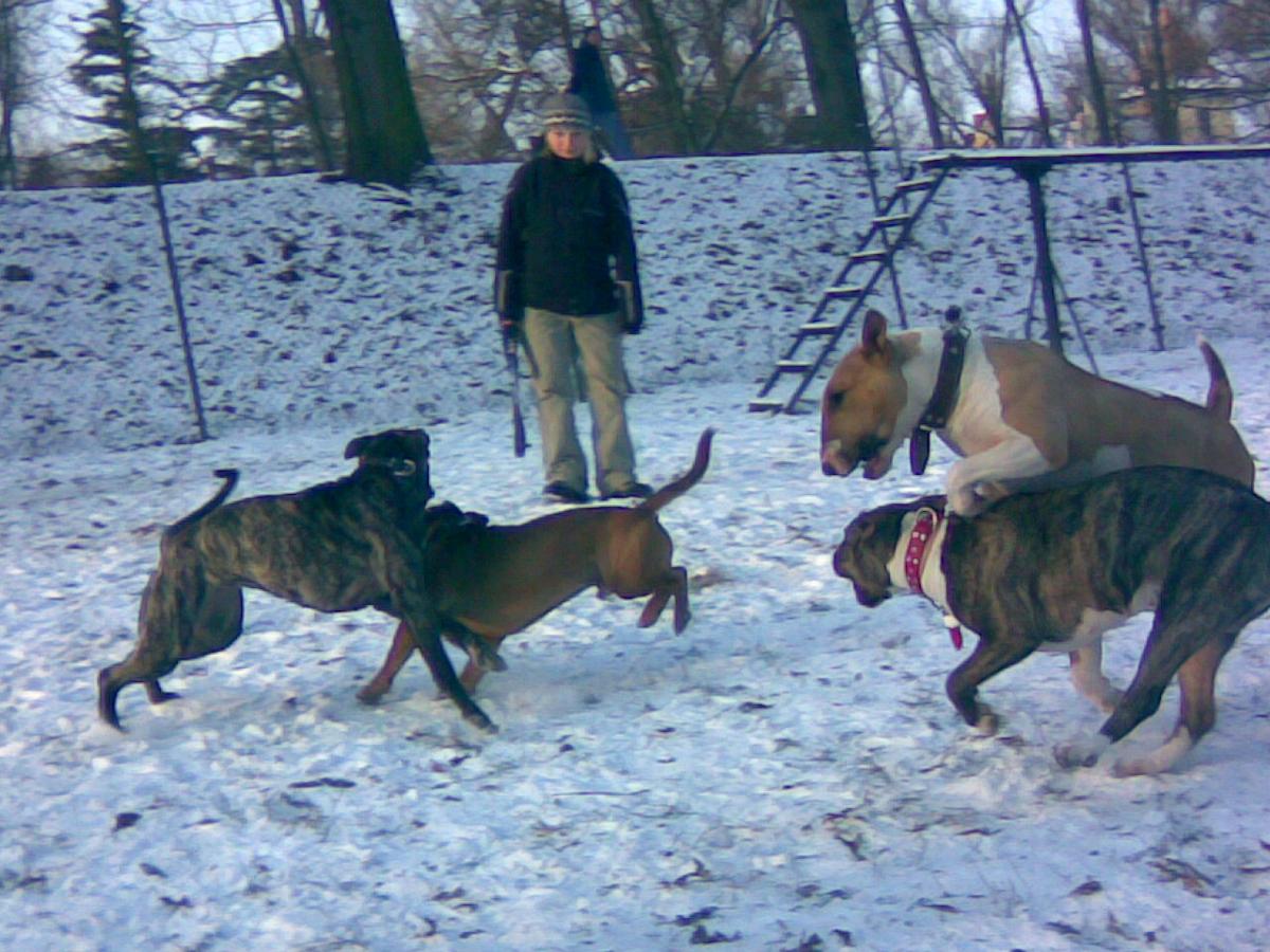 20122009_009_.jpg