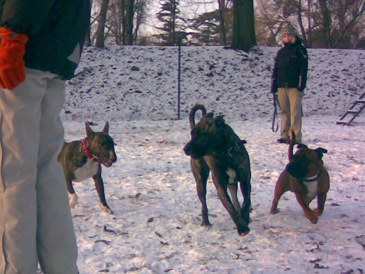 20122009_010_.jpg