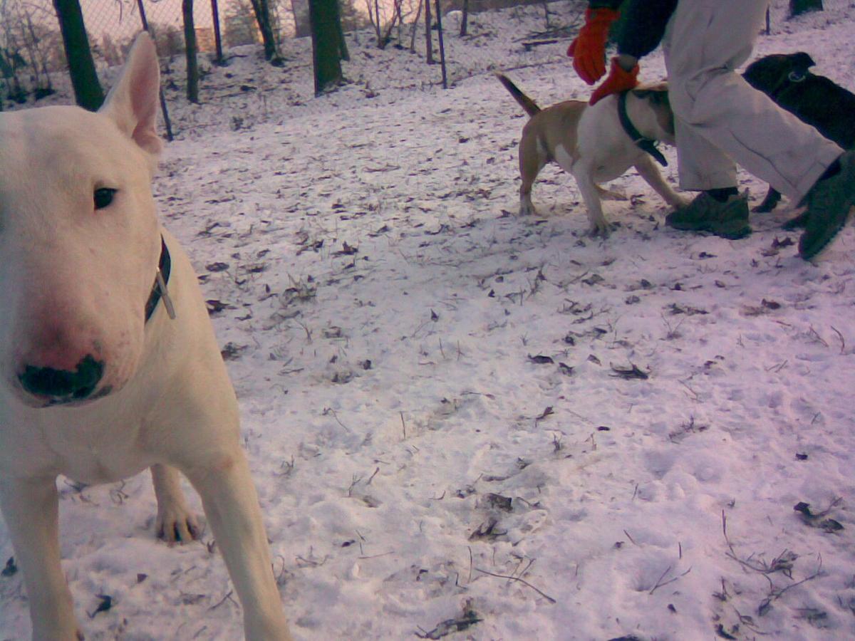 20122009_025_.jpg