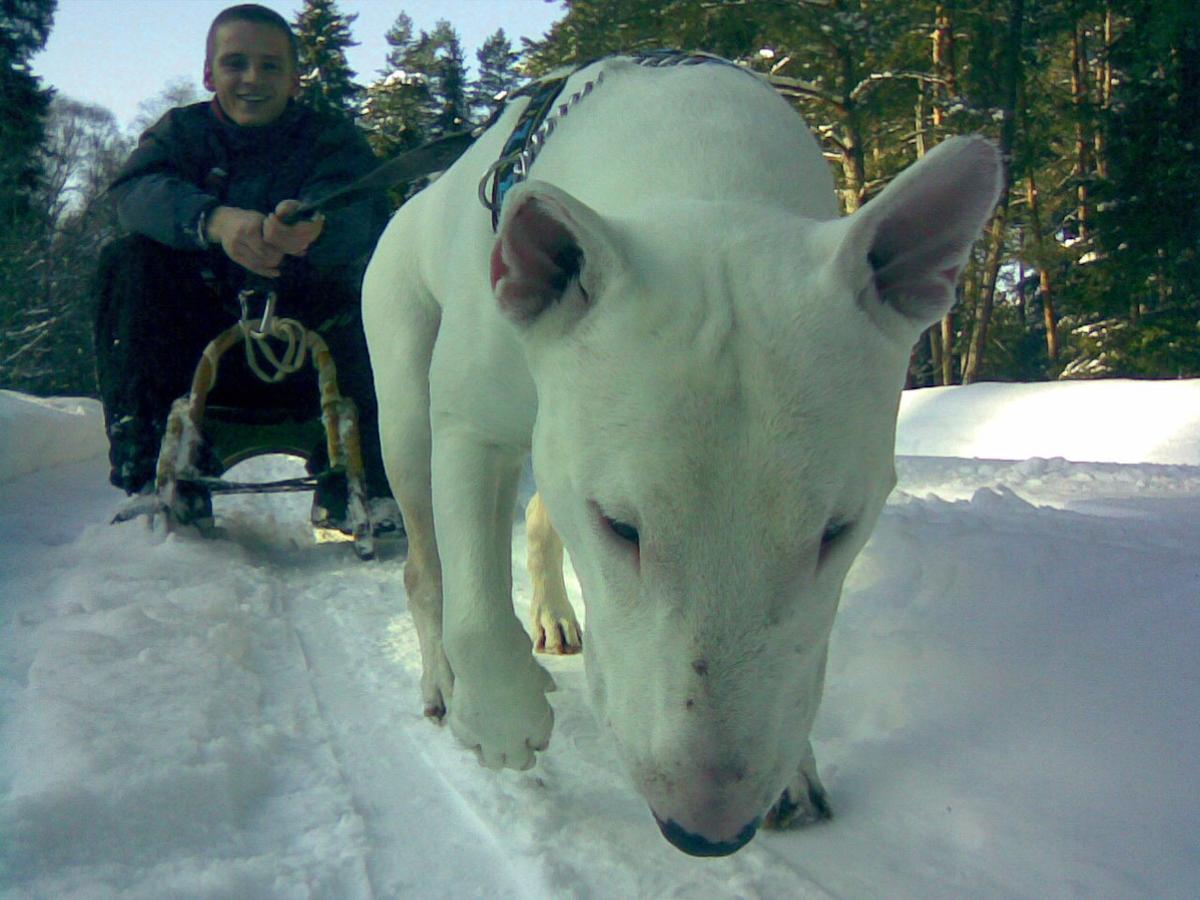 30012010_018_.jpg